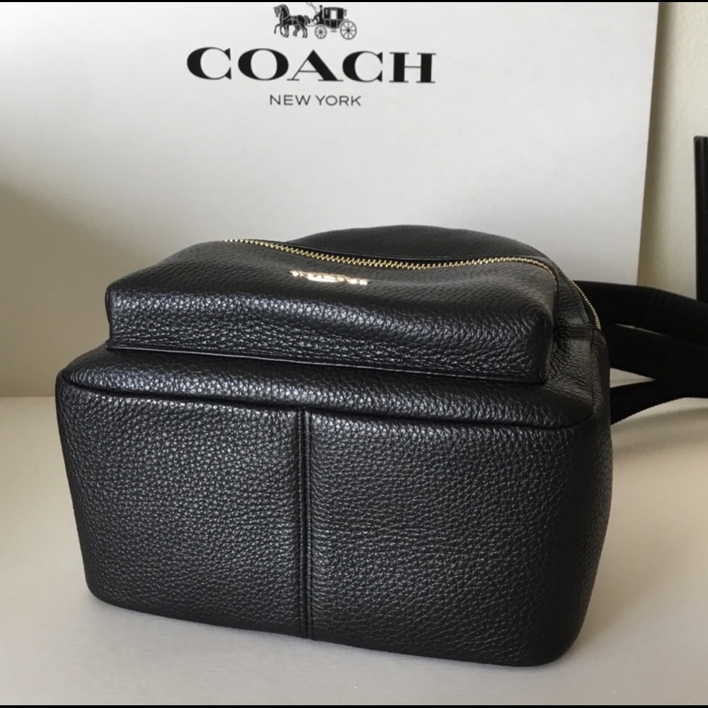 🌷Coach Mini Charlie Backpack NWT. - Picture 6 of 7